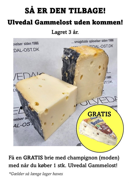Ulvedal Gammelost 45+ 450g STK